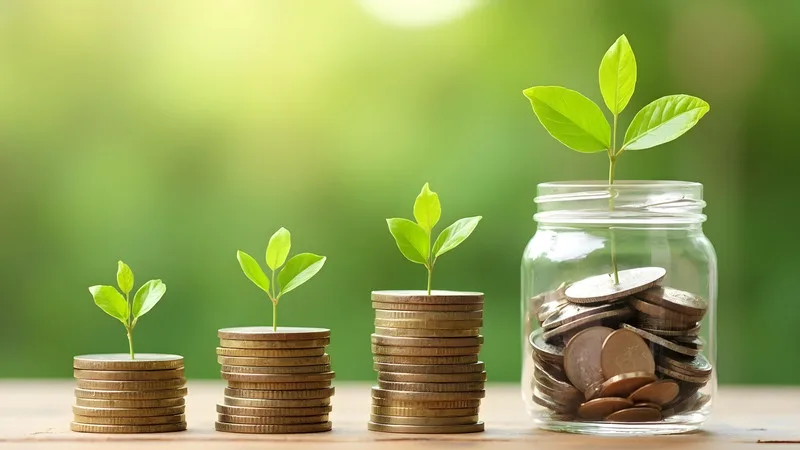 Stacks of coins with plants representing financial growth